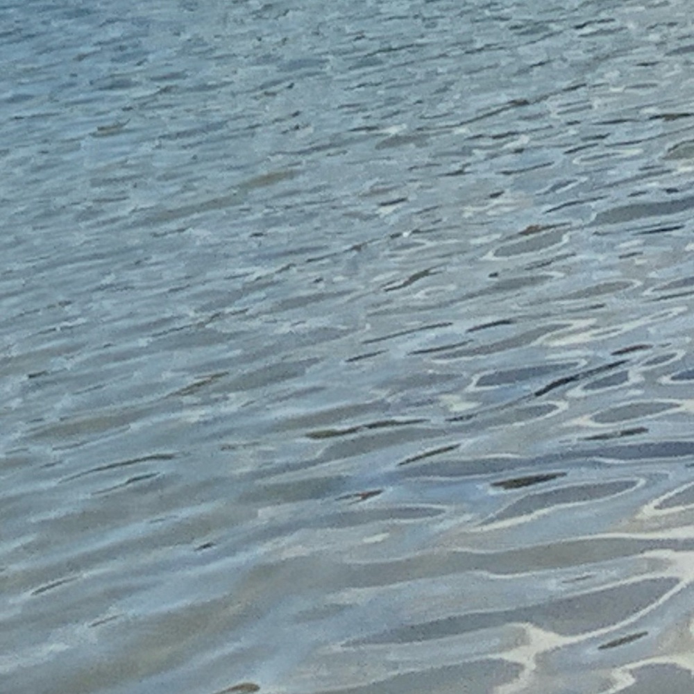 Meet your Posher, Katrina